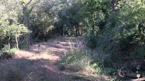 Terreno con vistas increibles a montserrat, immagine 5
