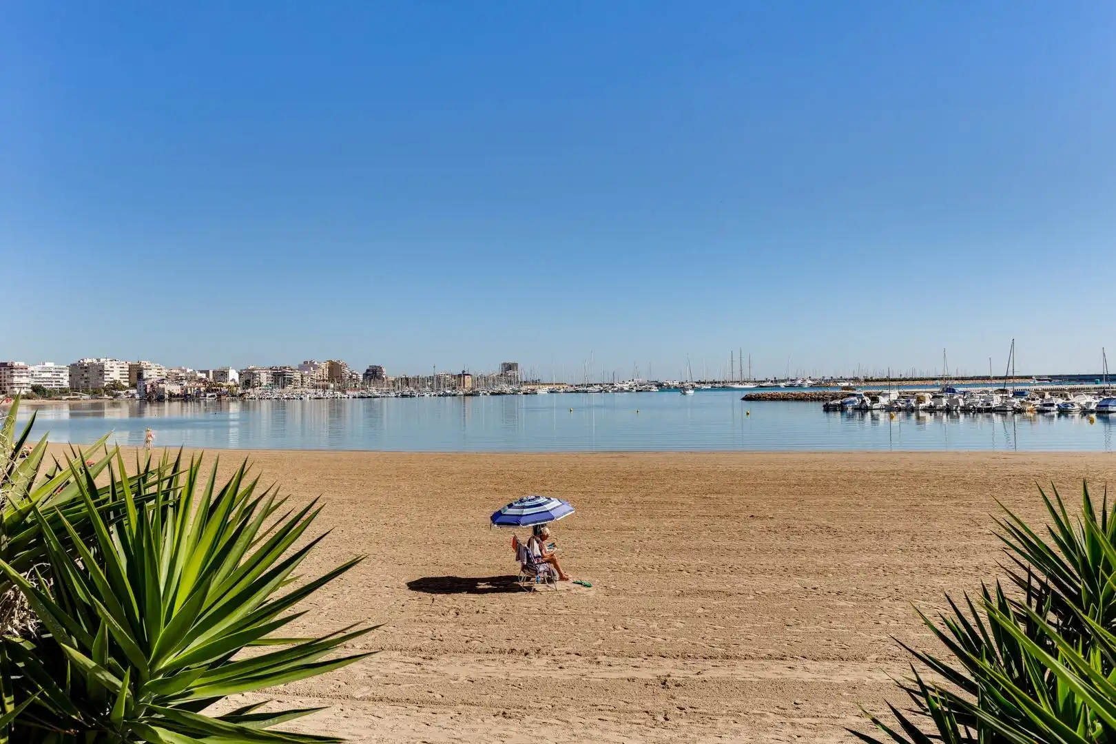 Vista exterior de Planta baja en venta en Torrevieja con Amueblado, Horno y Microondas