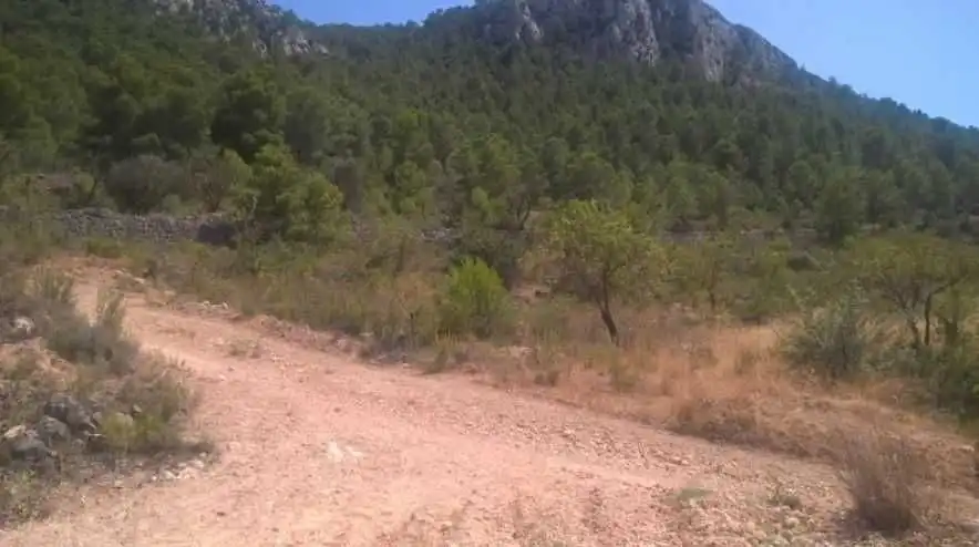 Terrenys i solars en venda a Abanilla