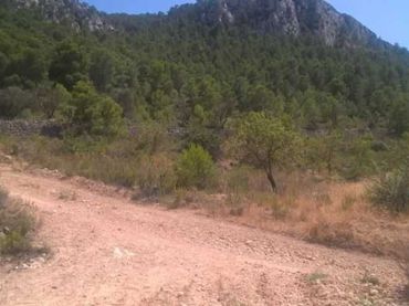 Terreny residencial en venda a Abanilla