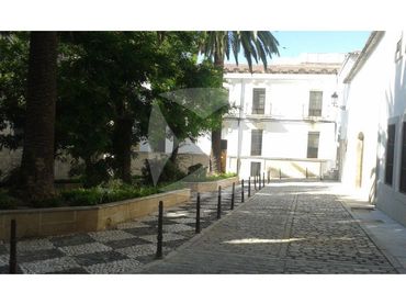 Wohnung zur Miete in PLAZA DE LA AUDENCIA