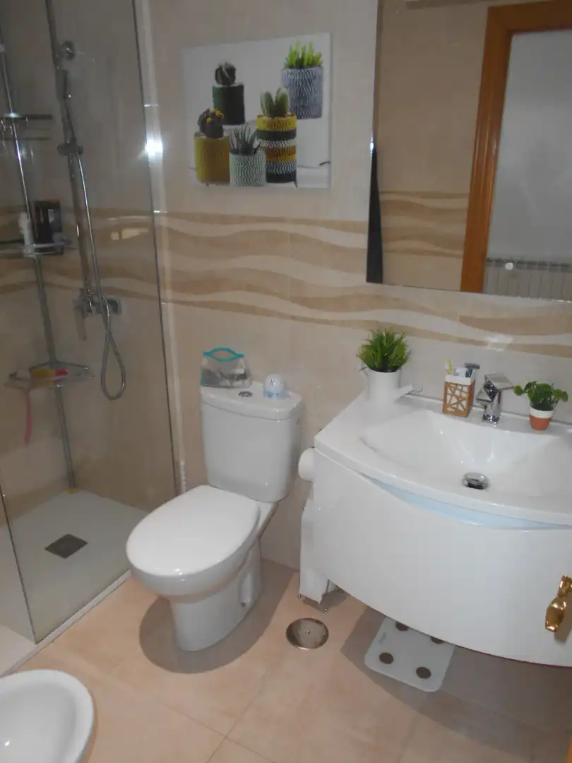 Dúplex con piscina en venta en Calle Camino de la Pedregosa, imagen 24