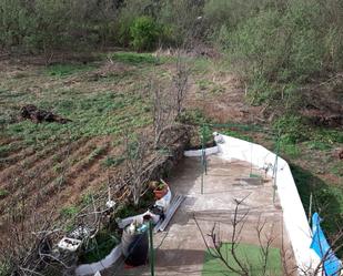 Garden of Residential for sale in La Orotava