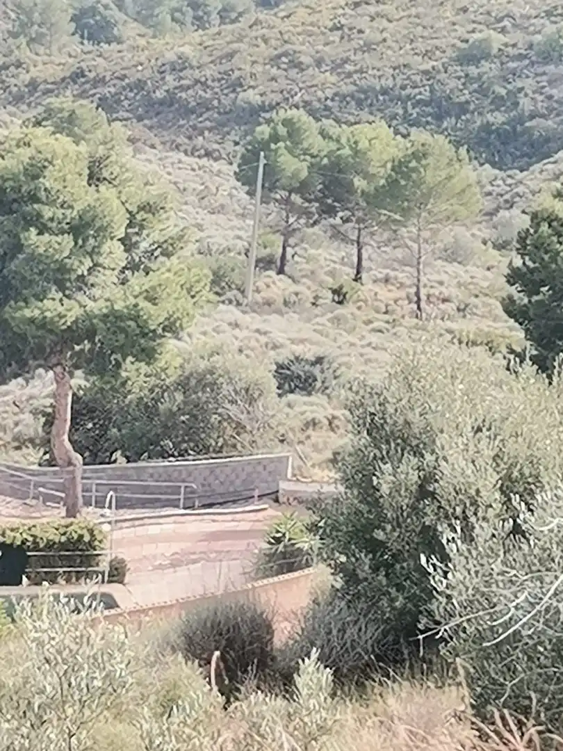 Rural land for sale in Partida Balcon de la Peña, imagen 6