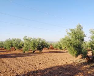 Finca rústica en venda en Moral de Calatrava