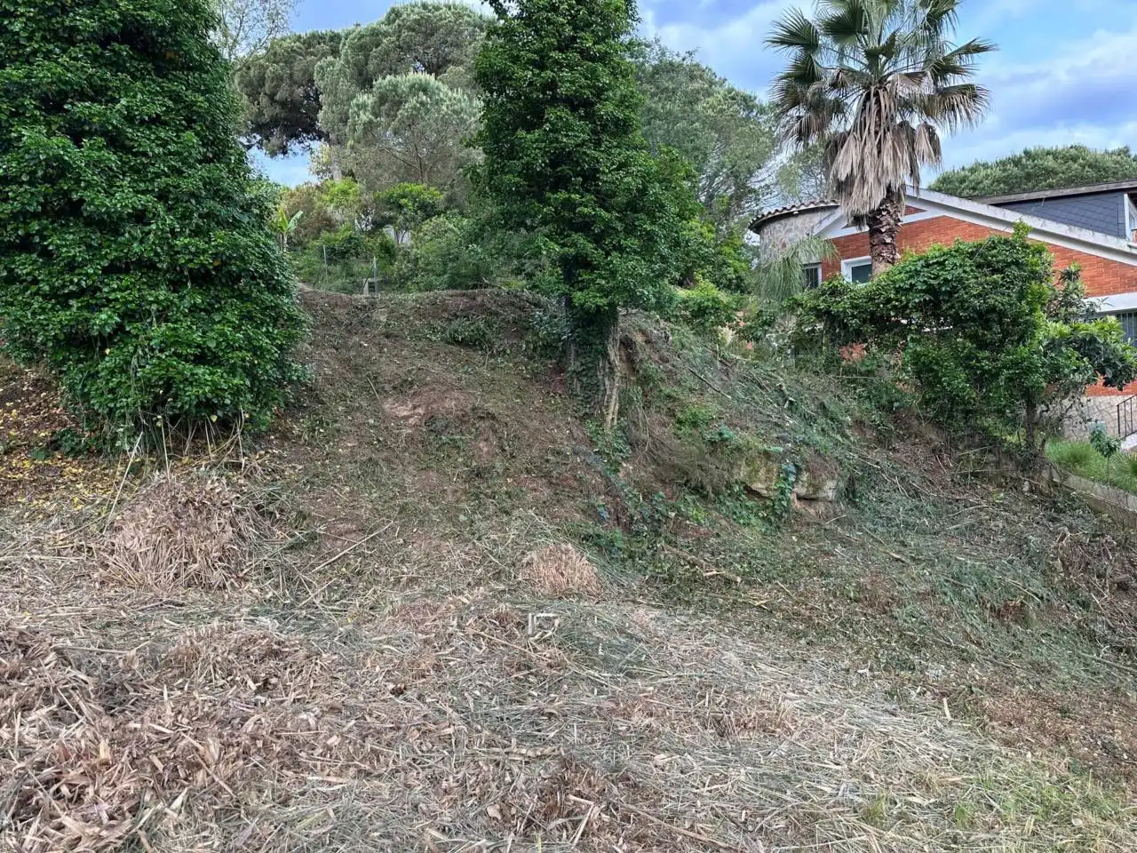 Terreno rústico en venta en Avenida Mil·lenni 22, imagen 7