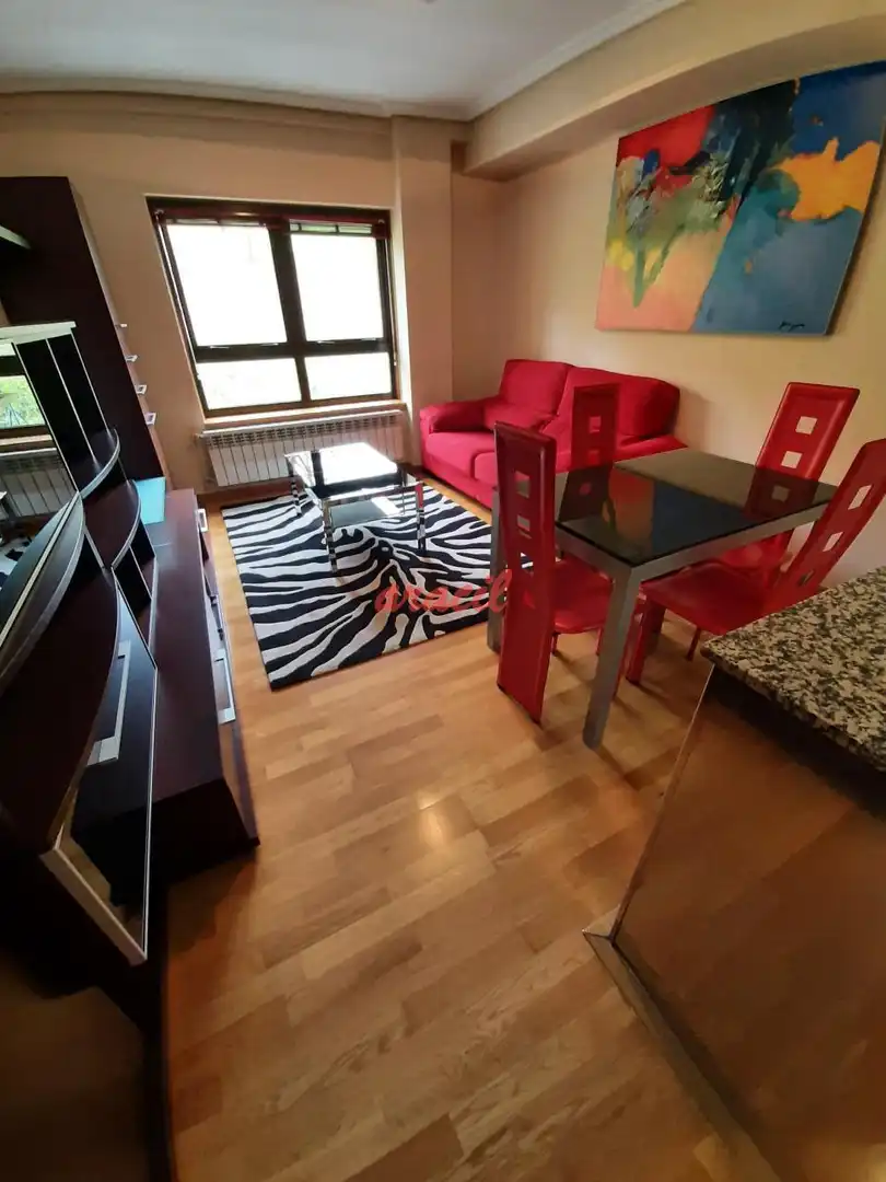Sala de estar de Estudio de alquiler en Ourense Capital  con Calefacción y Amueblado