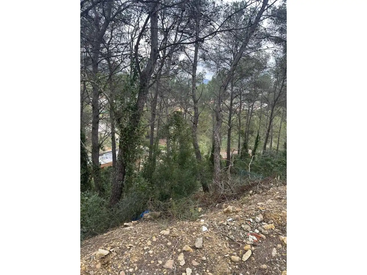 Terreny rústic en venda a Calle Tafalla 18, imagen 14