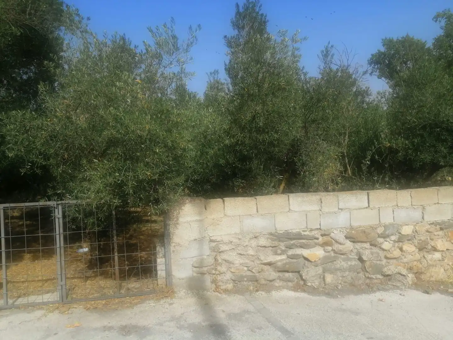 Houses for sale in Serón  with Private garden and Storage room