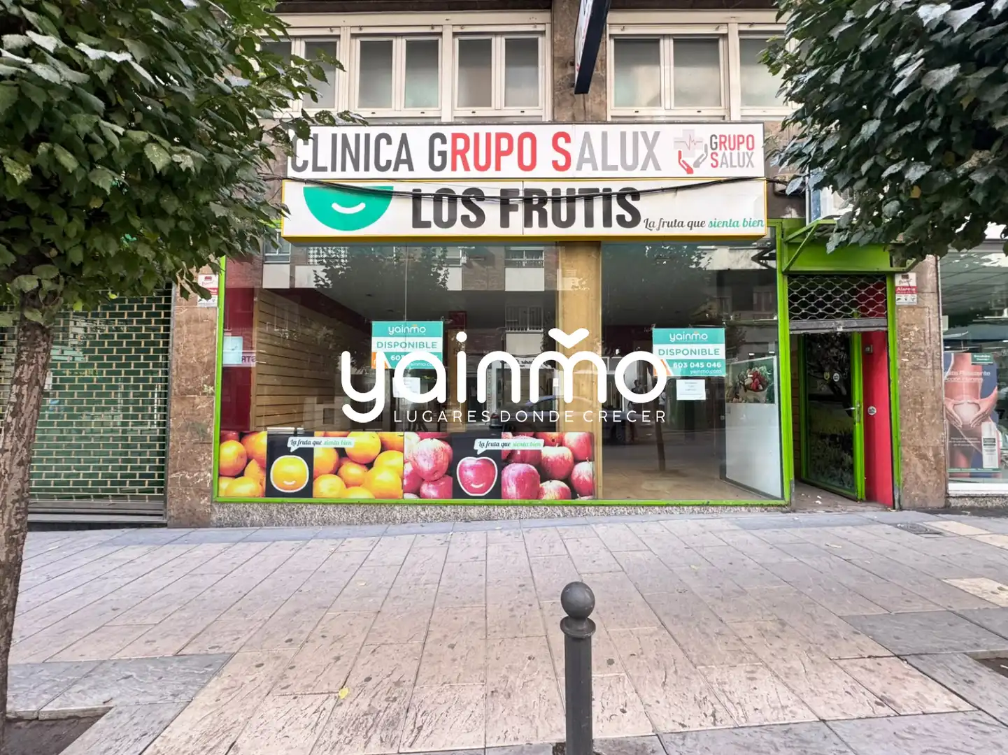 Gewerbefläche zur Miete in Jaén - Avenida de Granada 8, imagen 2