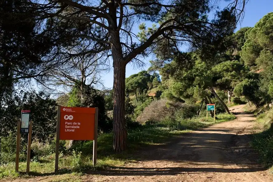 Vista exterior de Casa o xalet en venda en El Masnou amb Aire condicionat, Terrassa i Piscina