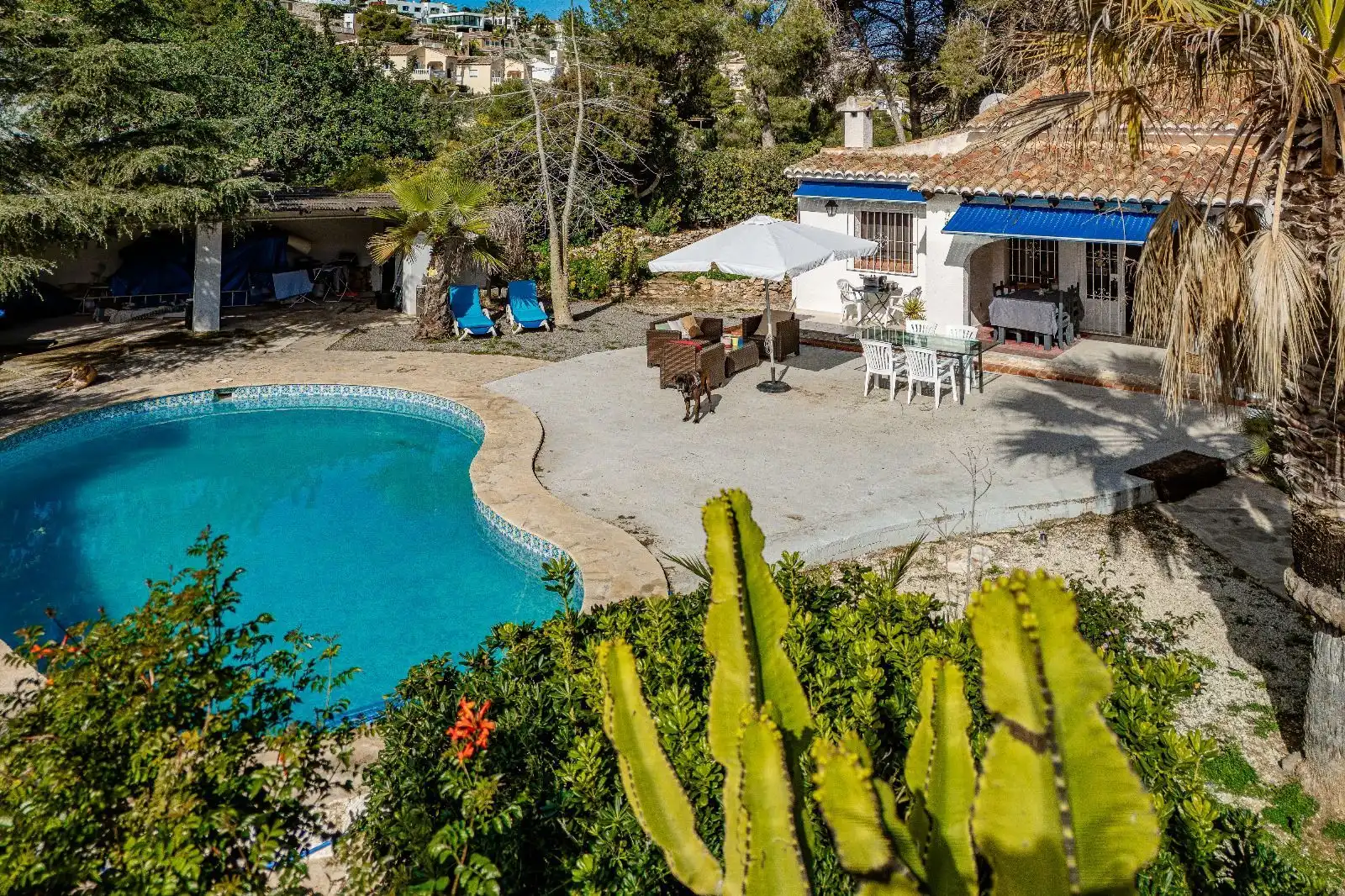 Villa con giardino in vendita a Paichi, imagen 22