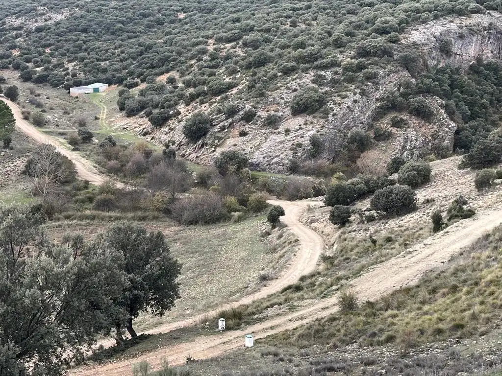 Terreno en venta en Vianos