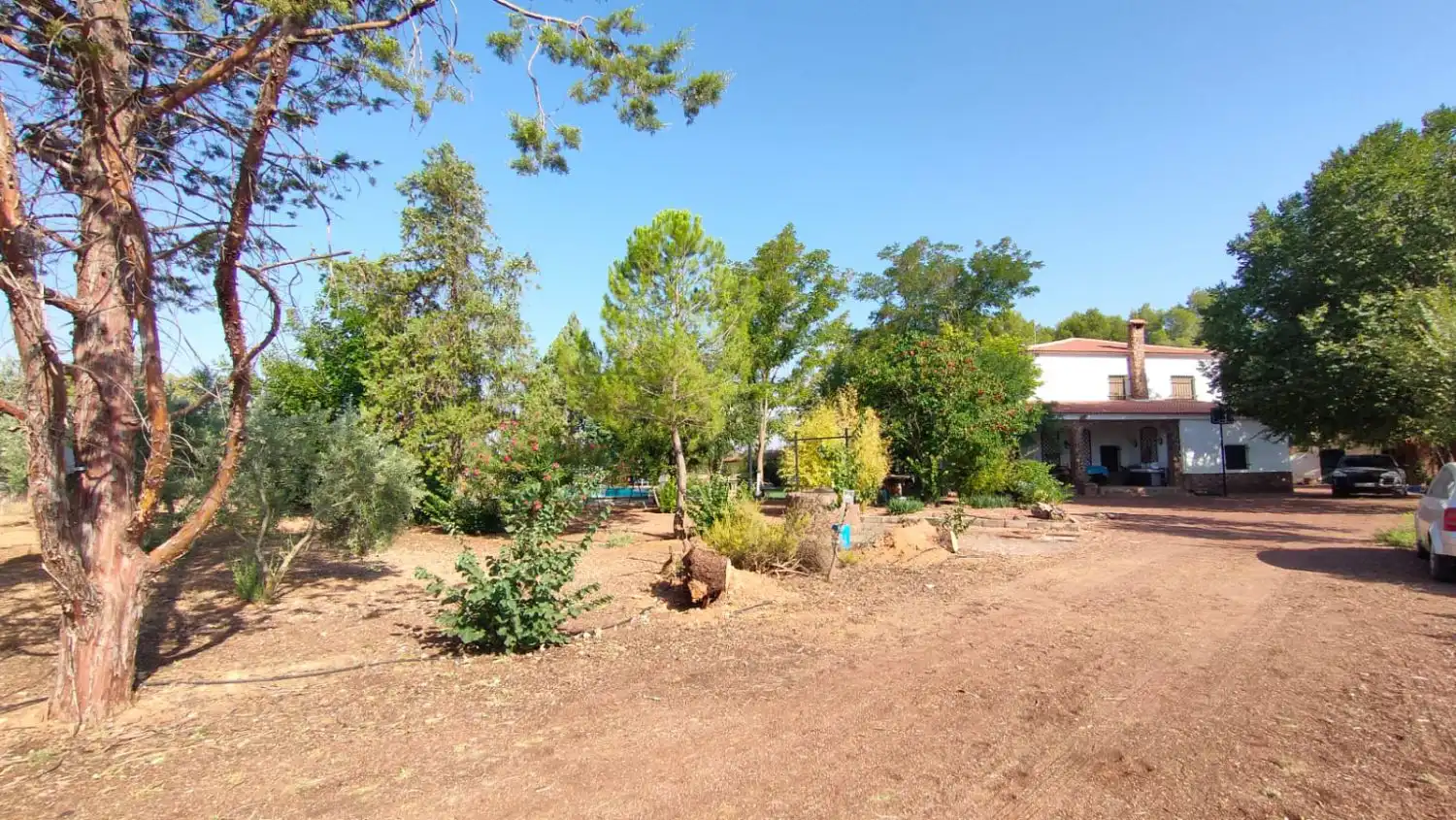 Casa rústica en venda a Valdepeñas, imagen 8