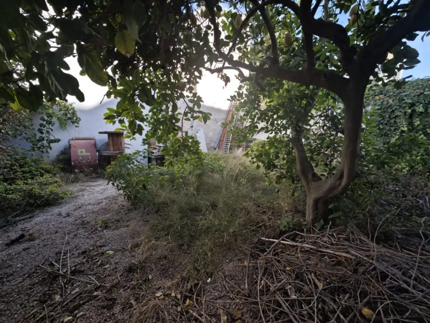 Gewerbefläche zur Miete in Teulada, imagen 6
