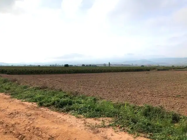 Terreny rústic en venda a Navarrete, imagen 3