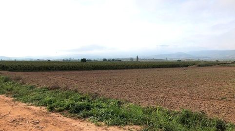Finca de regadío en Navarrete, imagen 3
