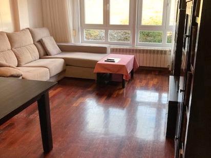 Living room of Flat for sale in Arteixo