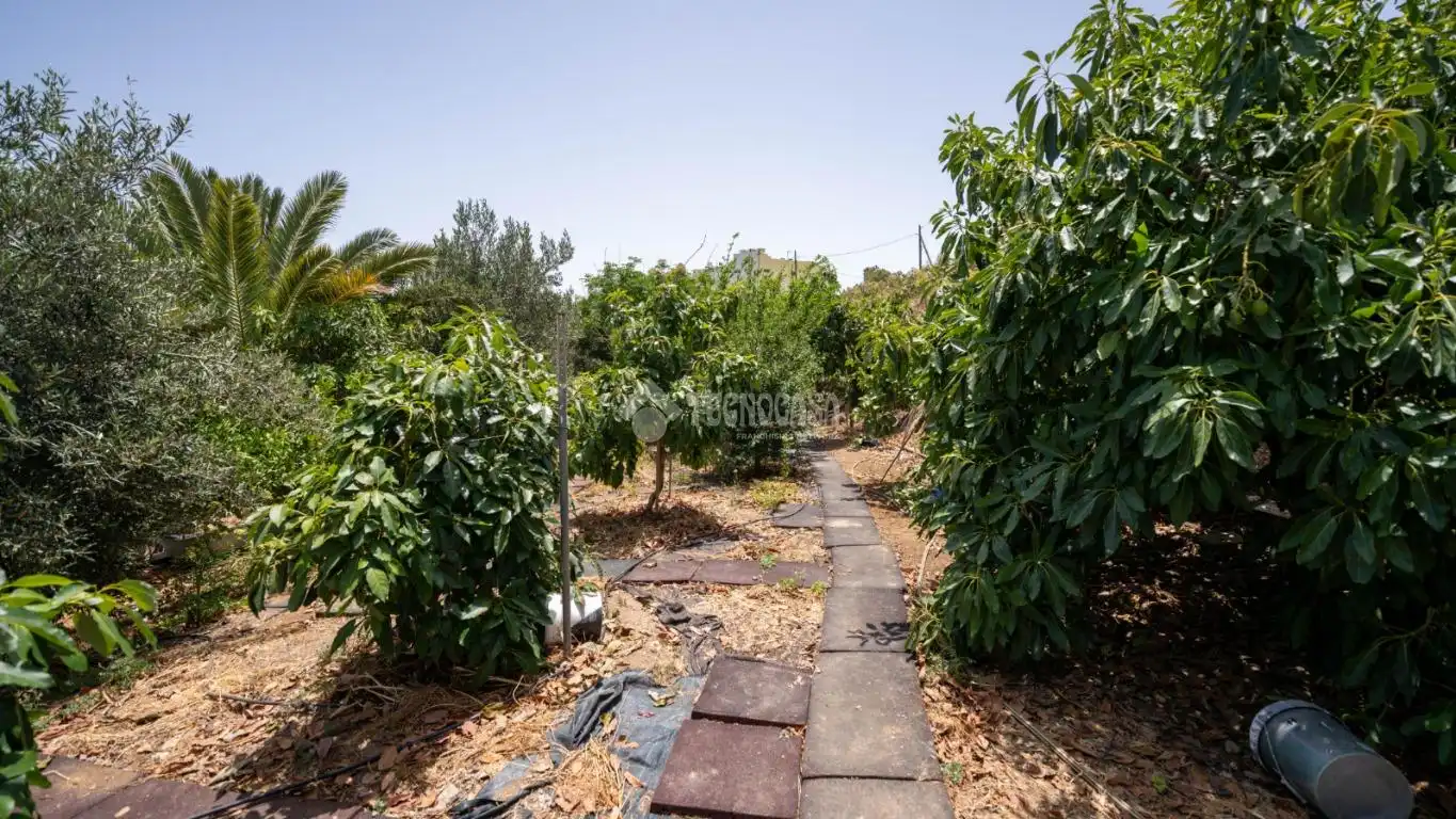 Terreny rústic en venda a Valsequillo de Gran Canaria, imagen 3