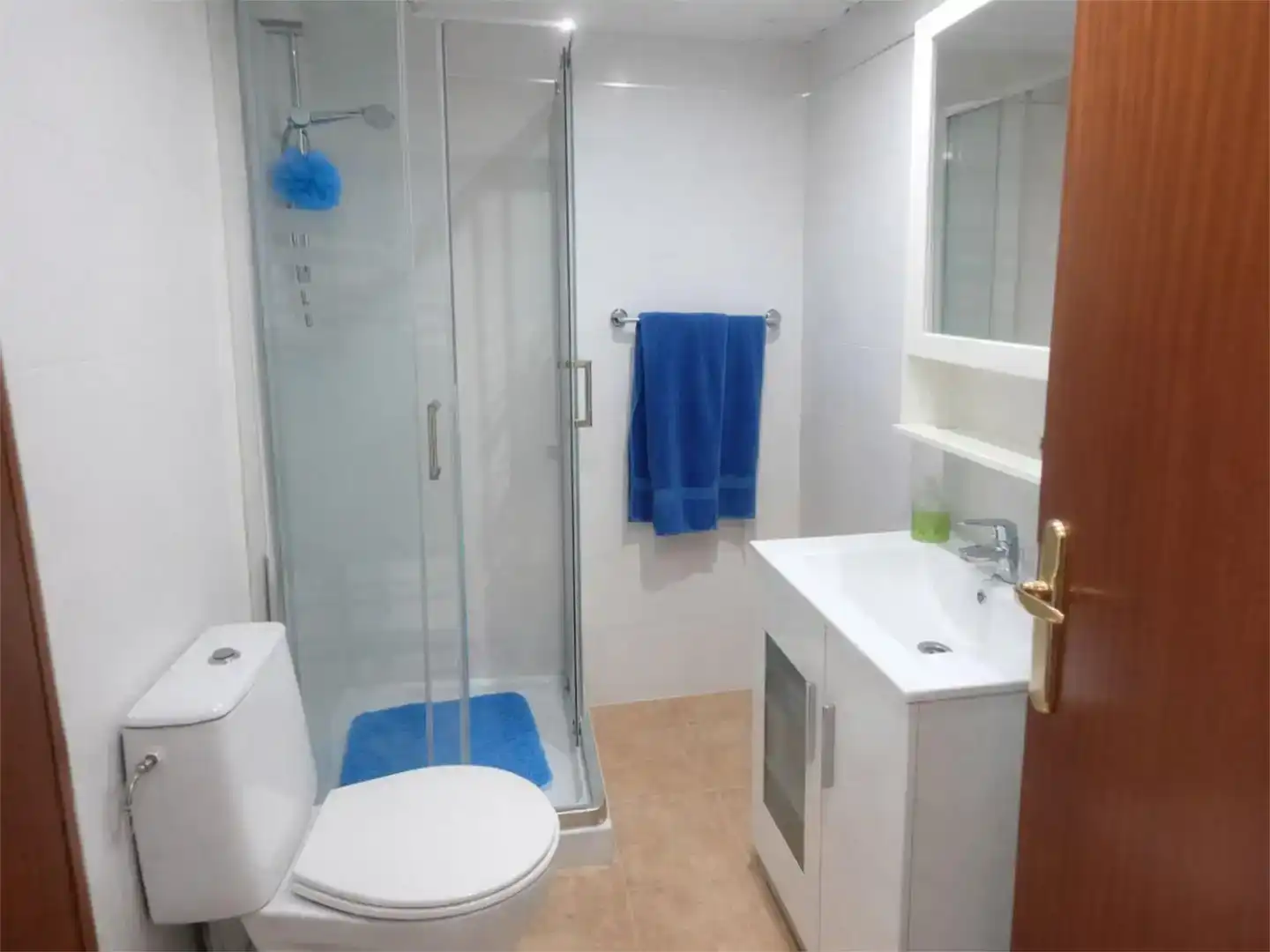 Baño de Piso en venta en Málaga Capital
