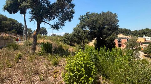 Parcela de 1.200 m2 en Lloret de Mar, imatge 3