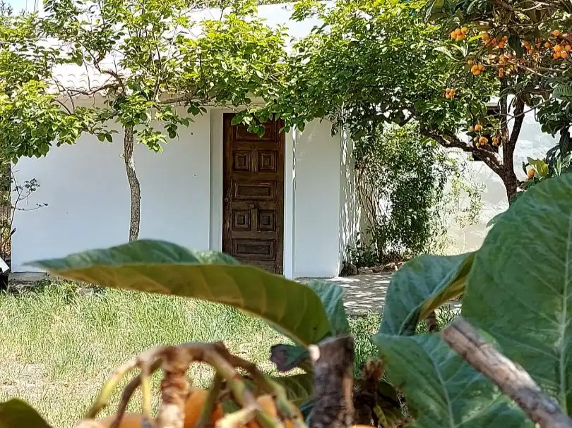 Garden of Land for sale in Sant Antoni de Portmany