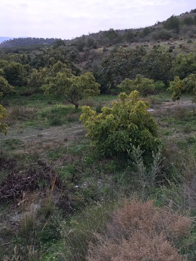 Terrenys i solars en venda a Molvízar, imagen 10