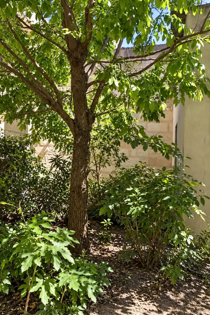 Residenziale in vendita a Sineu, imagen 3