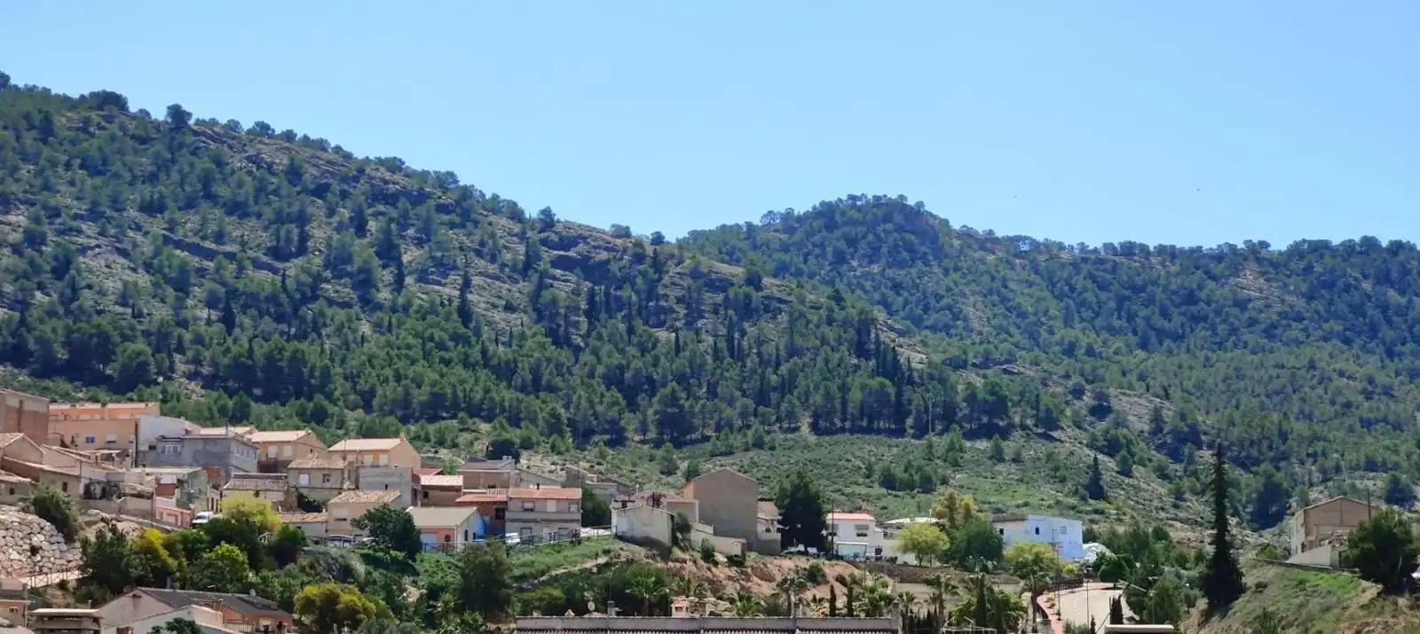 Vista exterior de Àtic en venda en Pliego