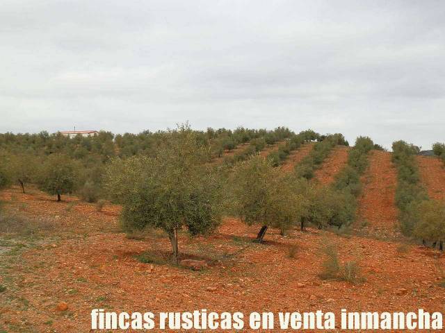 Terreno en Venta en Tembleque