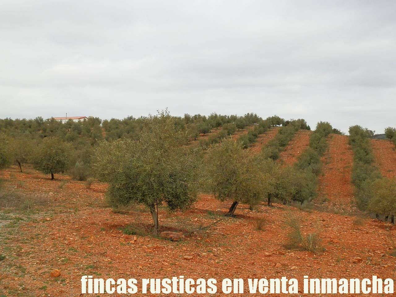Land for sale in Tembleque