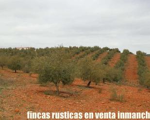 Land for sale in Tembleque