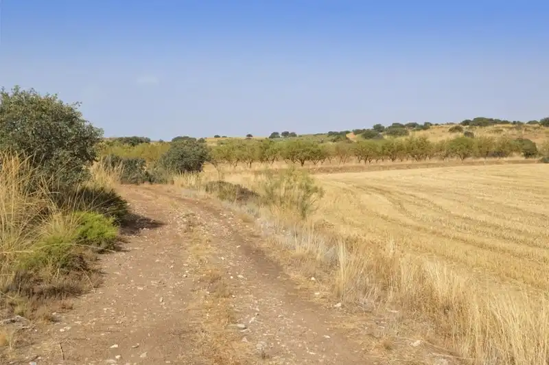 Terreni e lotti in vendita a Padul, imagen 30