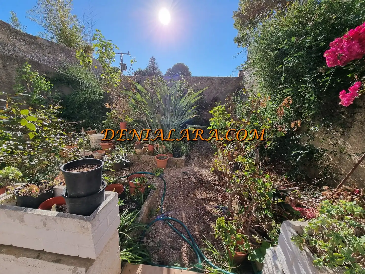 Jardín de Casa o chalet en venta en Sagra con Jardín privado, Terraza y Trastero