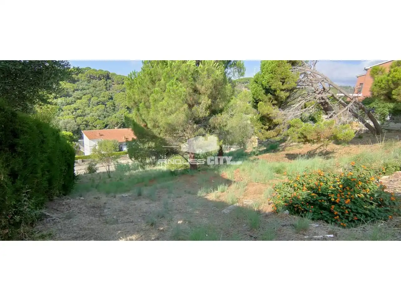 Terreno residencial en venta en Calle Llevante, imagen 7