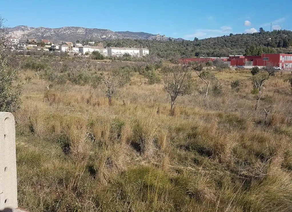 Rural land for sale in DOMENGES, imagen 6