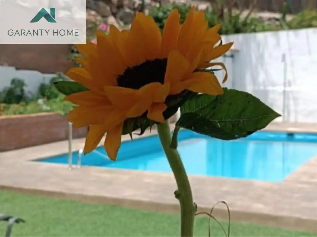 Chalet con terraza en venta en Solymar, imagen 27