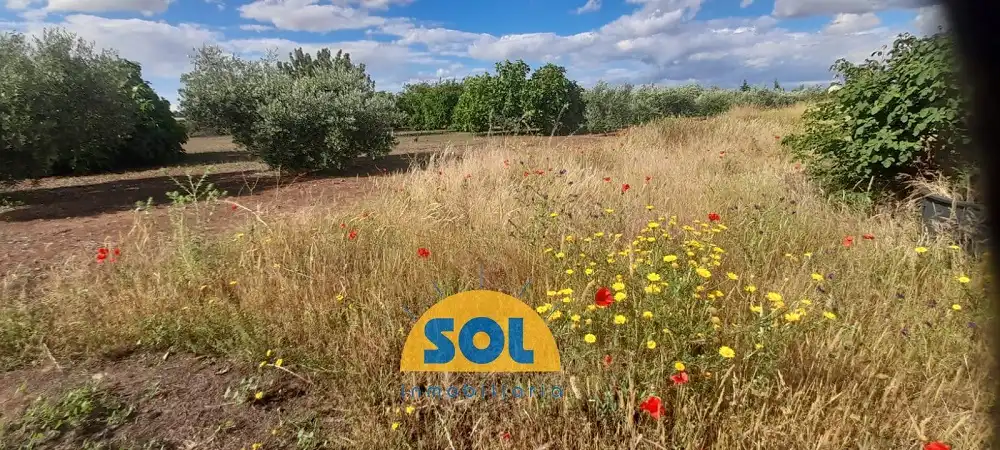 Terreni e lotti in vendita a Carretera Don Benito 8