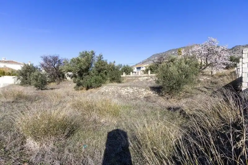 Terreni e lotti in vendita a Avenida de Andalucía, imagen 2