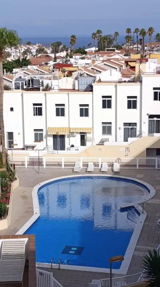 Schwimmbecken von Wohnung zur Miete in Adeje