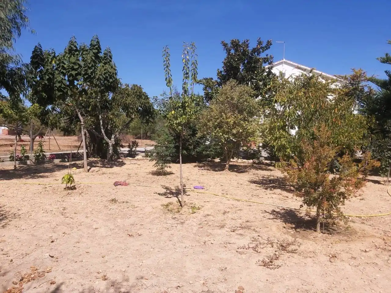 Casa rustica con piscina in vendita a Valls, imagen 23