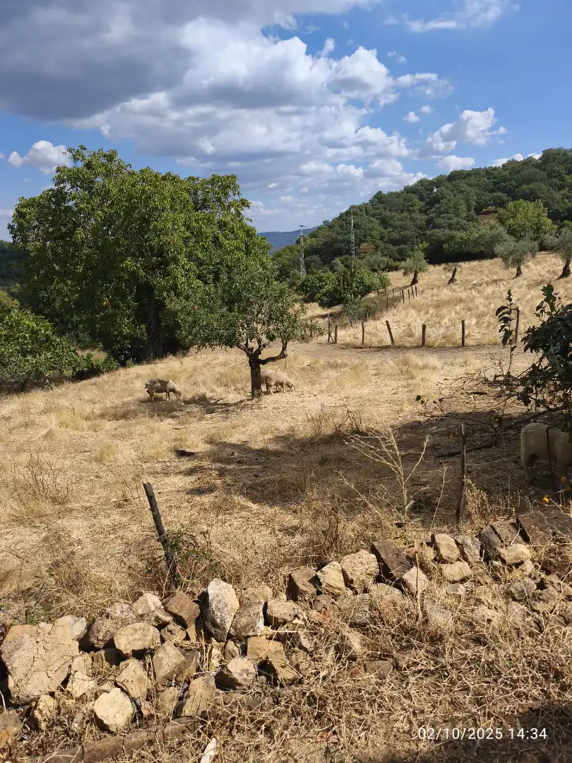 Residencial en venta en Cortegana