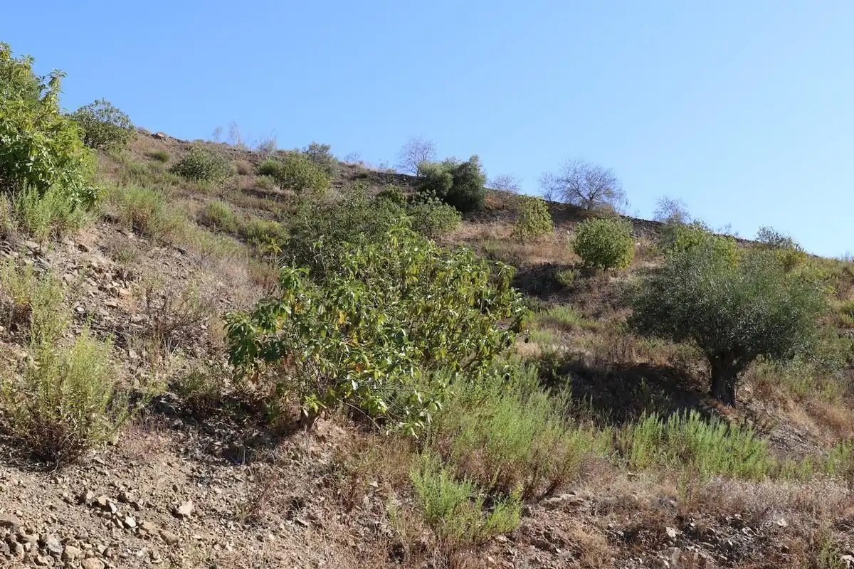 Terreno rustico in vendita a Poligono 9, imagen 4