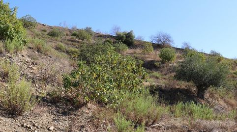 Foto 4 de Terreno en venta en Poligono 9, Cártama, Málaga