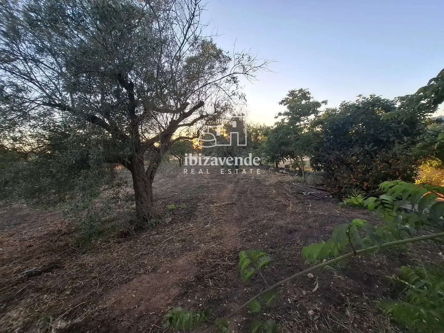 Terreny rústic en venda a San Antoni, imagen 10