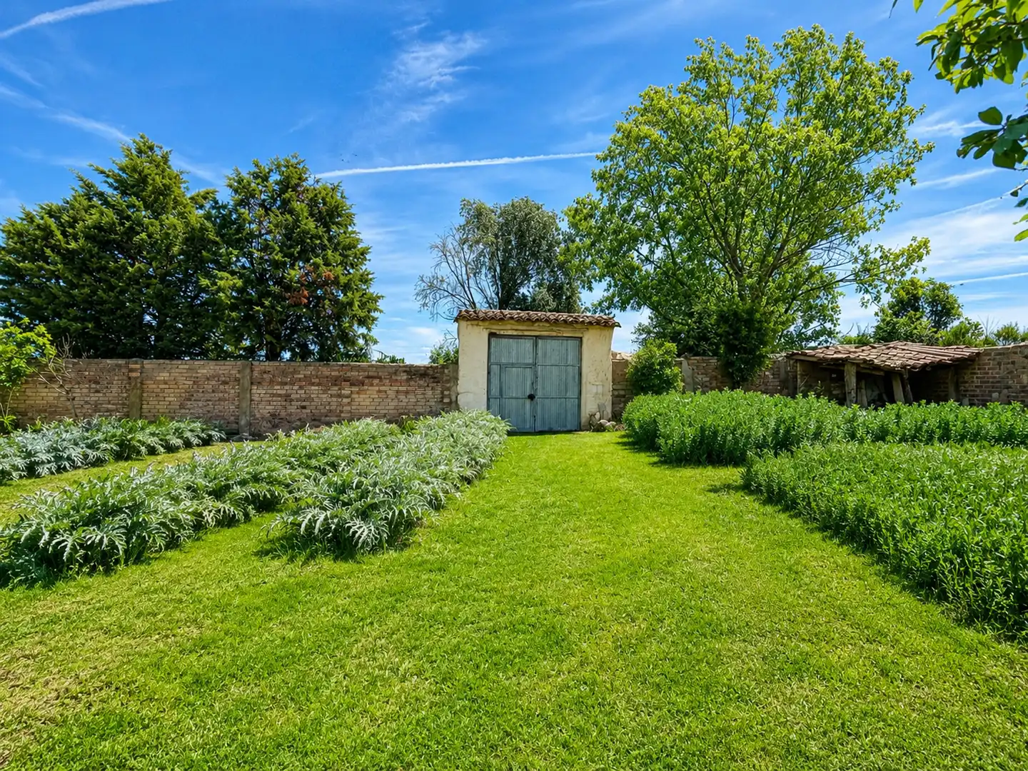 Jardín de Casa o chalet en venta en Padilla de Abajo con Jardín privado y Trastero