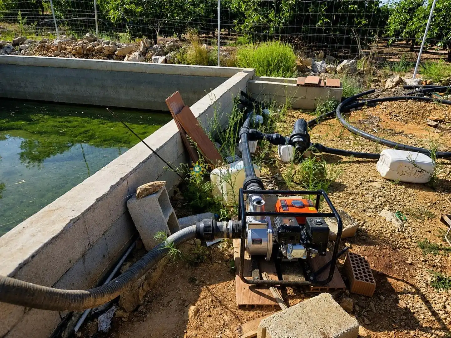Rustikales Grundstück zum Verkauf in Sumacàrcer, imagen 6