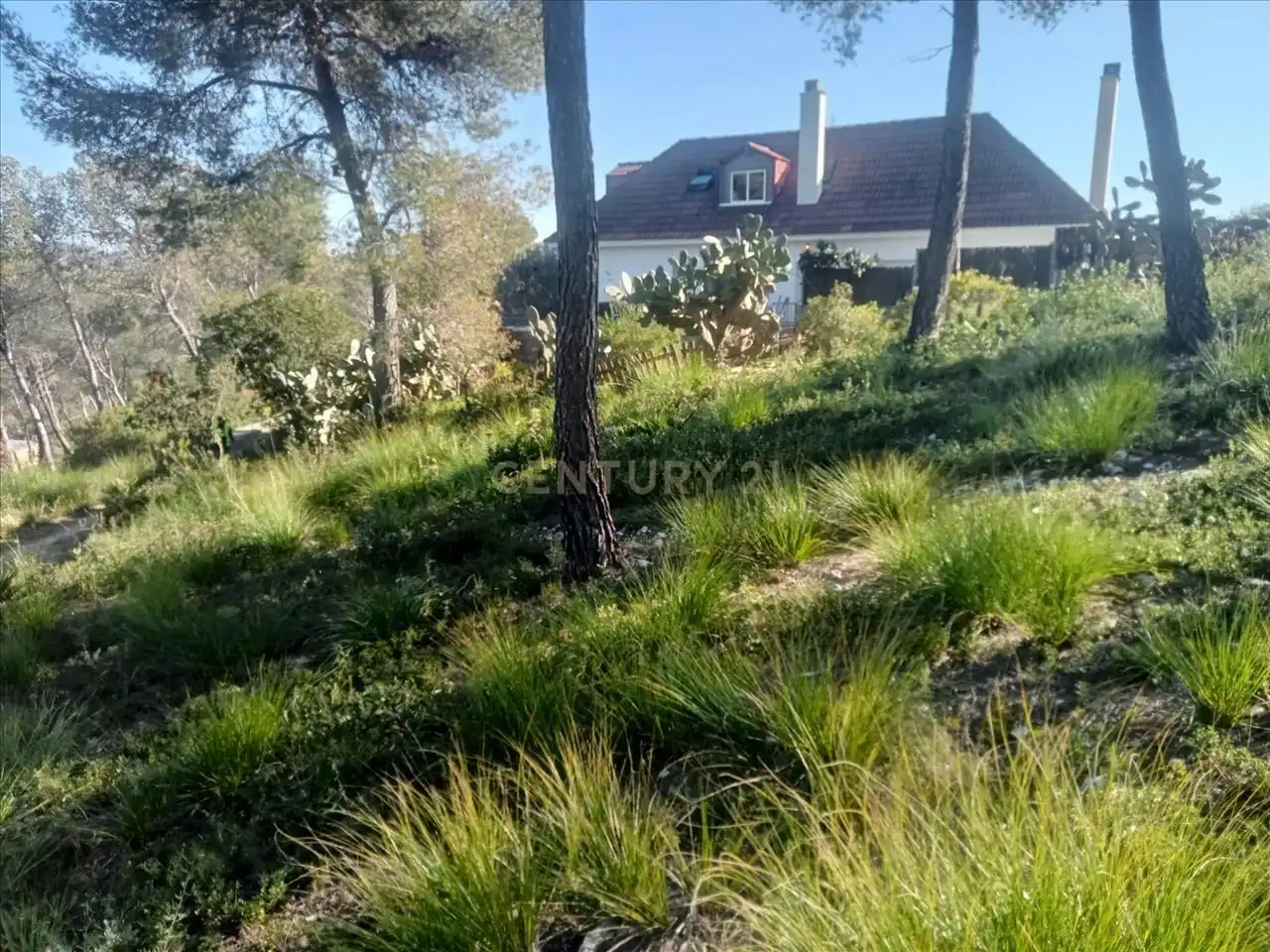 Residential land for sale in Olivella, imagen 7
