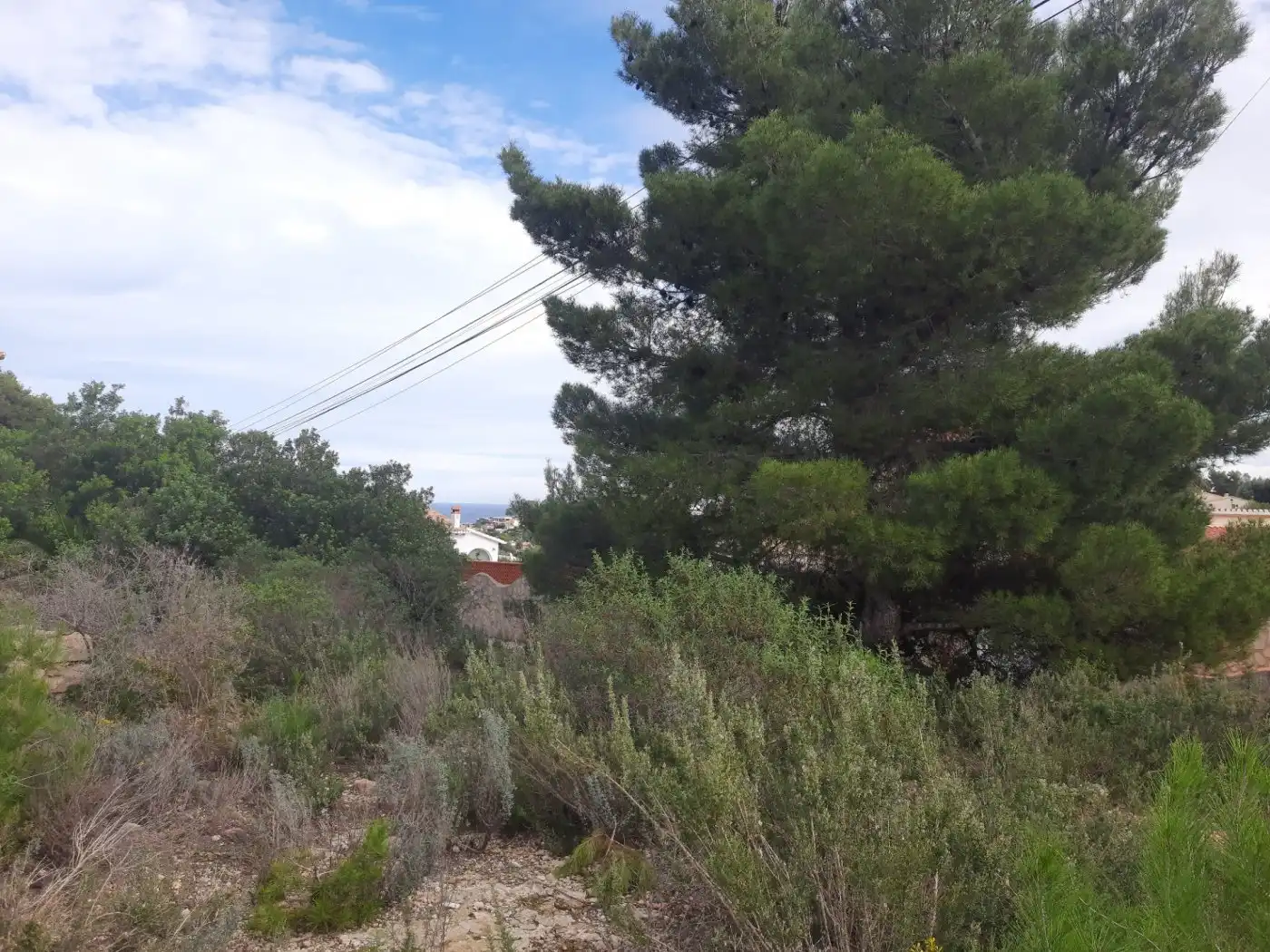 Terreni e lotti in vendita a El Montgó, imagen 10