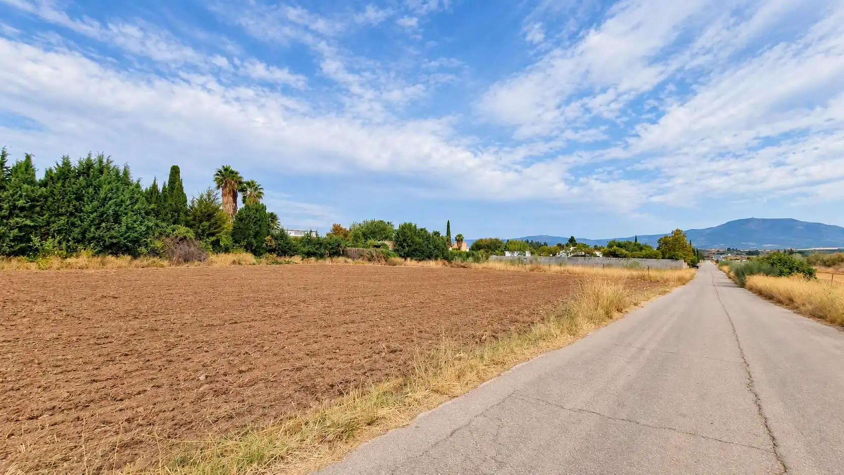 Terreno rústico en venta en Moraleda de Zafayona, imagen 7